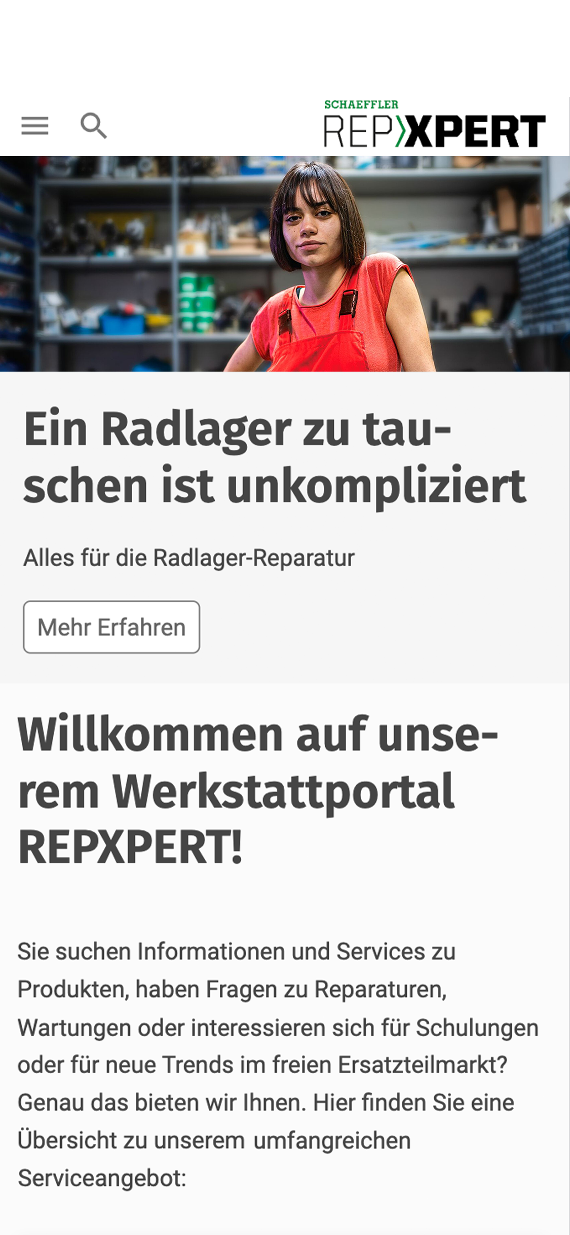 Screenshot der Homepage von REPXPERT