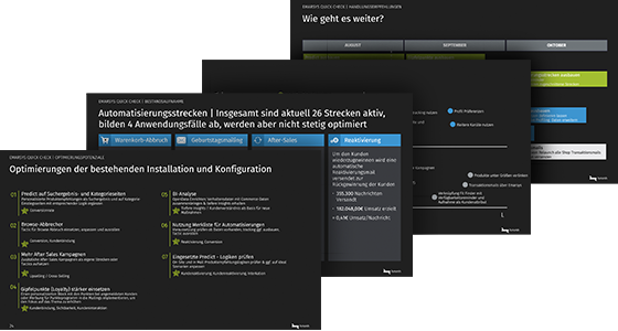 Emarsys Quick Check | Quick Check Ergebnisse | Agentur hmmh