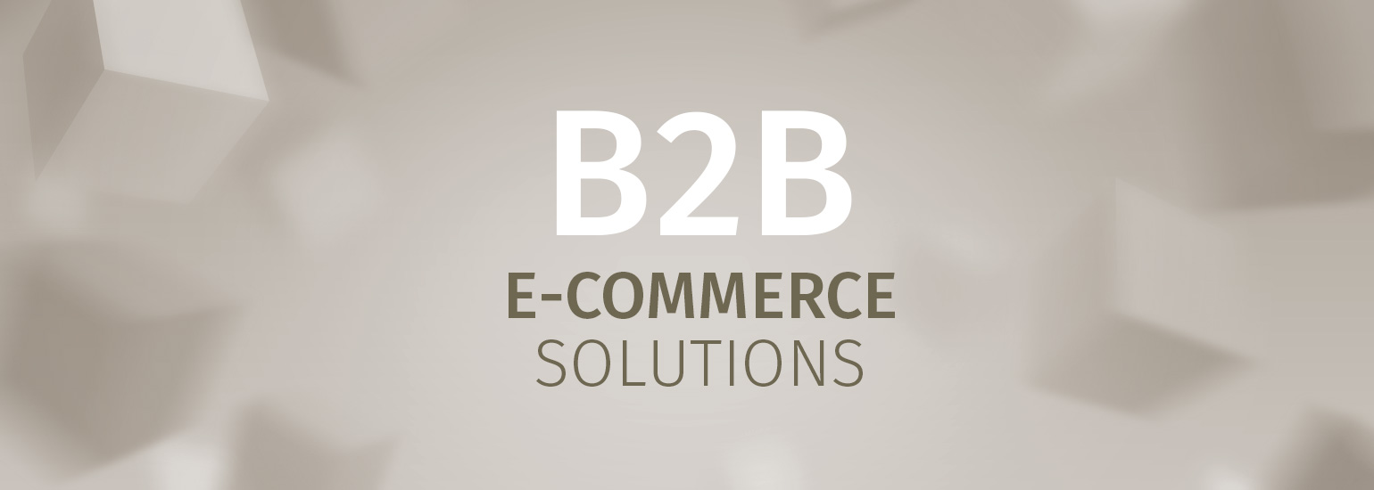 E-Commerce Lösungen für B2B E-Commerce Lösungen für B2B